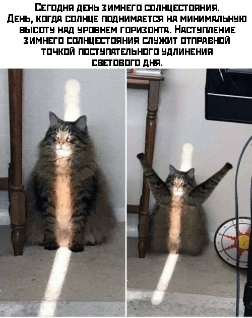 Прикольчики