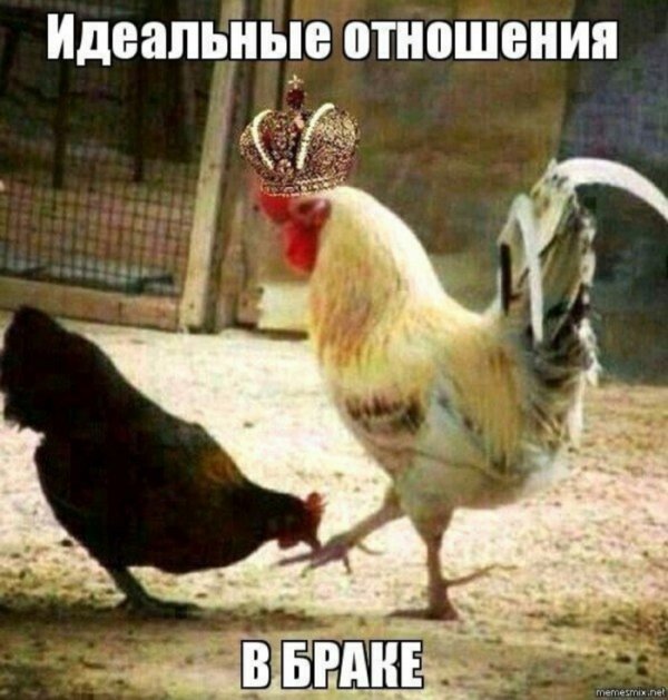 Юмор на любителя