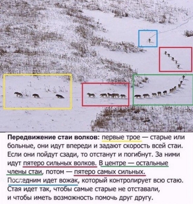 Вечерние приколы