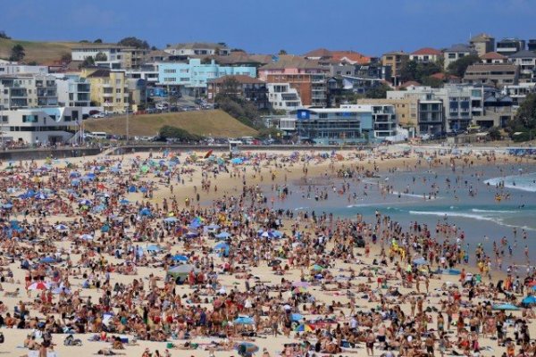Рождество на пляже Сиднея Австралию, туристов, выглядит, интересно, действительно, серфингом, купальниках, девушками, проходящий, праздник, рождество, отметить, решили, поехали, граждан, тысячи, потрепало, горевать, грустить, должны