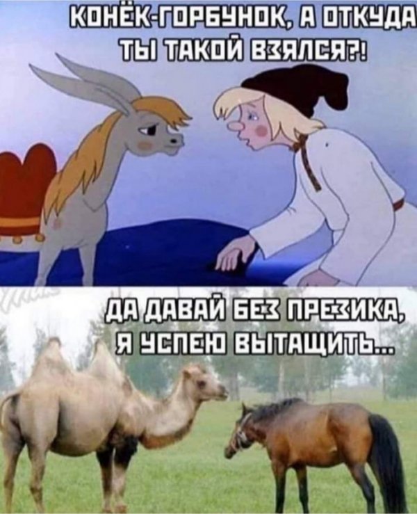 Юмор на любителя