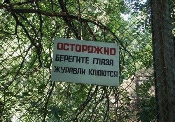 Забавные объявления 