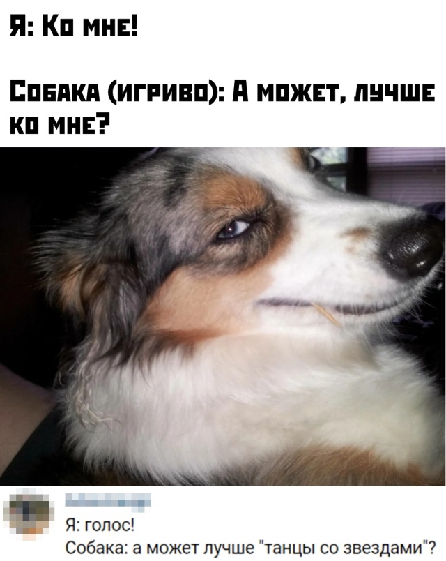 Прикольчики