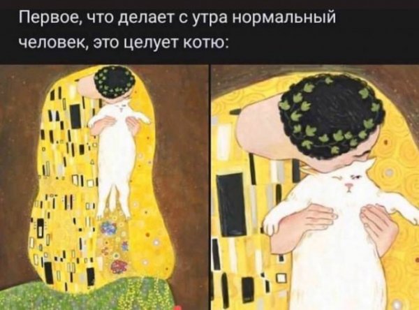 Утренние приколы