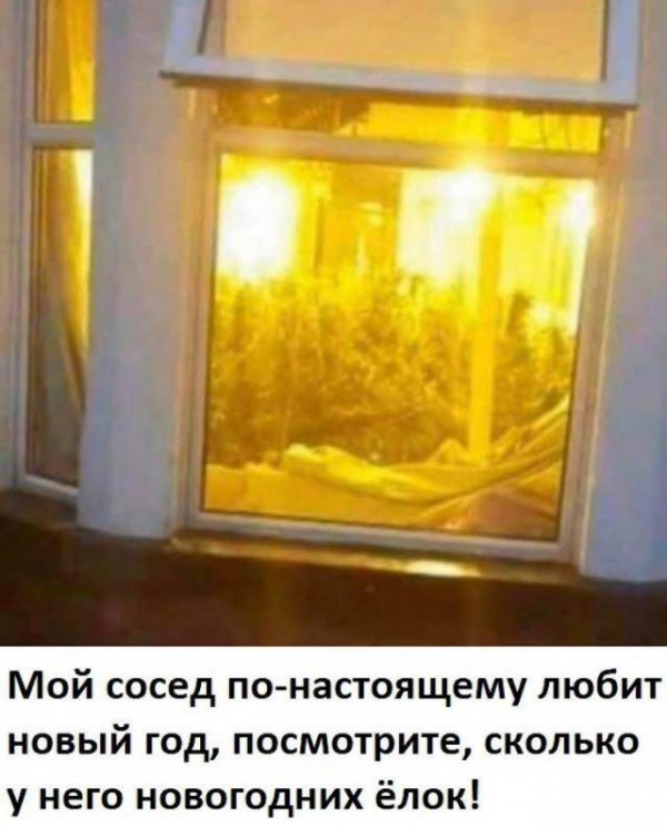 Утренние приколы