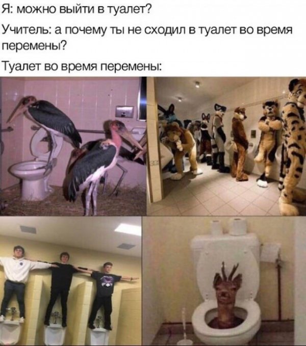 Веселые картинки