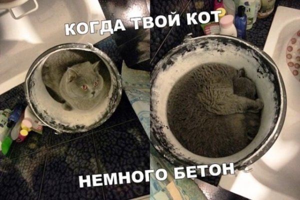 Немного картинок для настроения