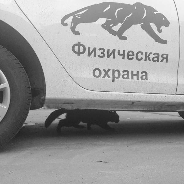 Прикольчики