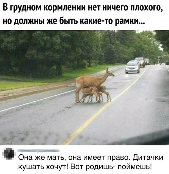 Прикольчики