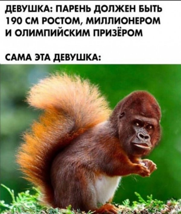 Юмор на любителя