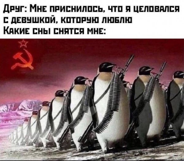 Веселые картинки