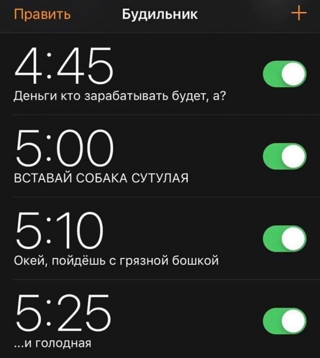 Прикольчики