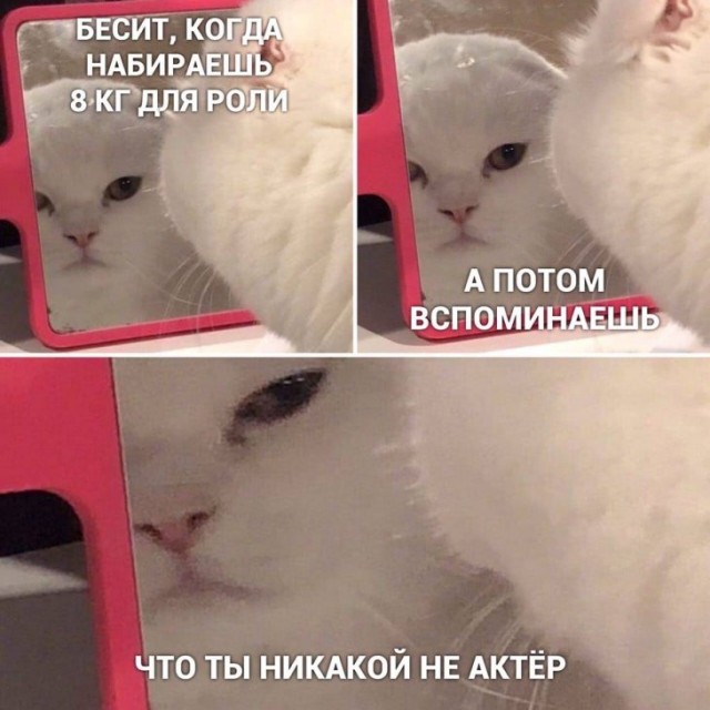 Прикольчики