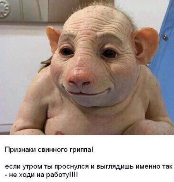 Так себе юмор