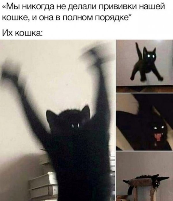 Юмор, юмор, юмор...