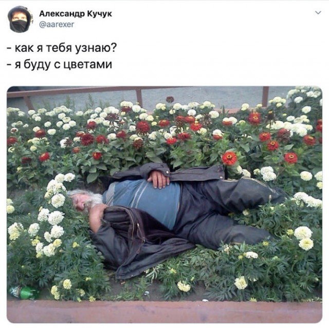 Прикольчики