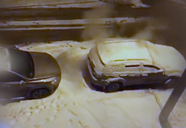 Девушка в Новомосковске голыми руками потушила автомобиль