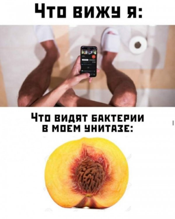 Юмор на любителя