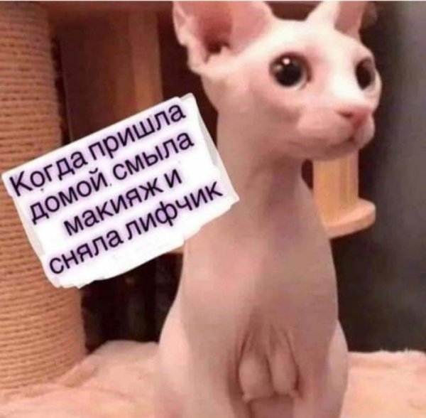 Юмор на любителя