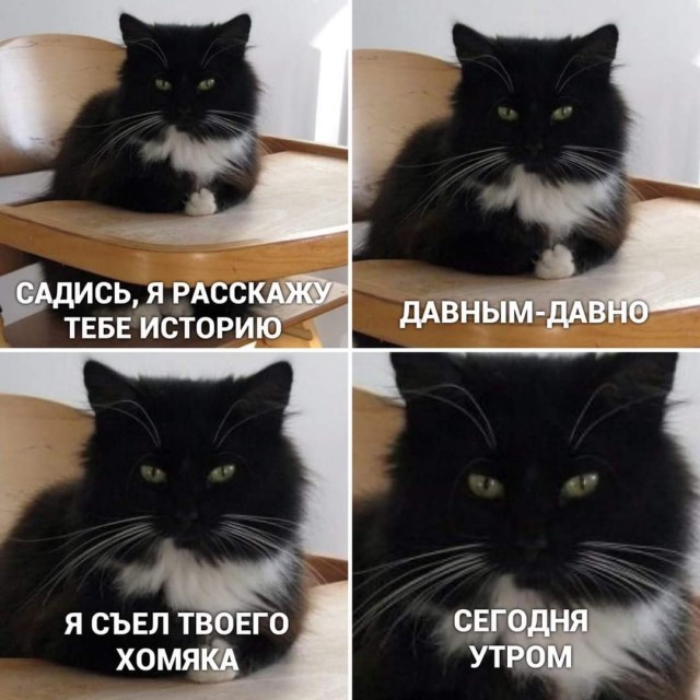 Прикольчики