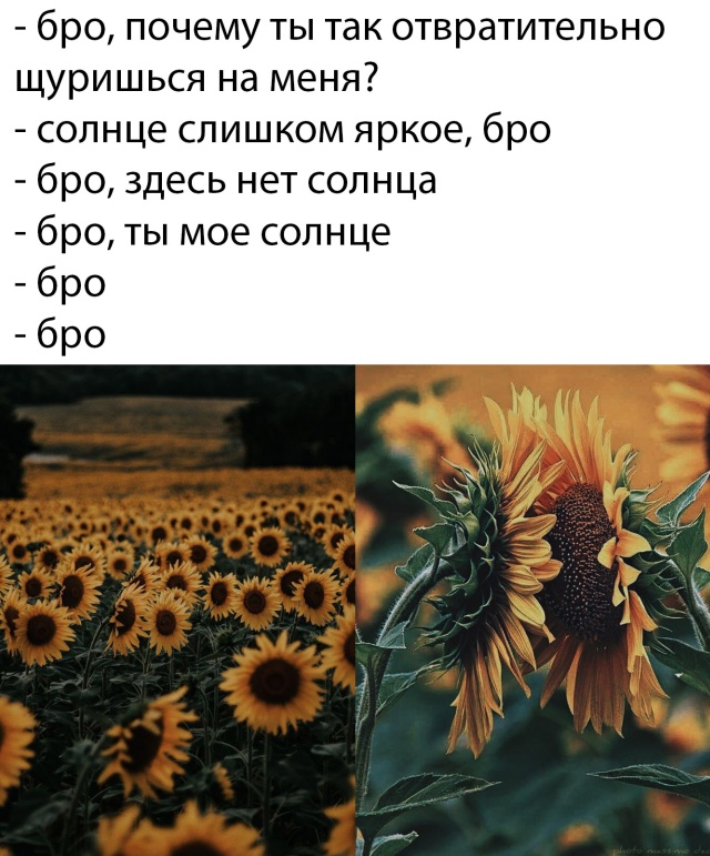 Прикольчики