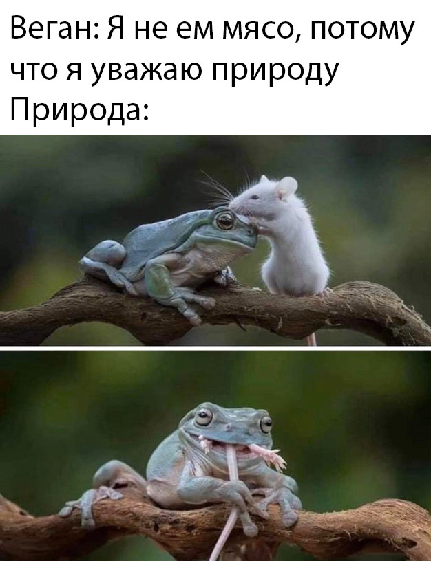 Прикольчики