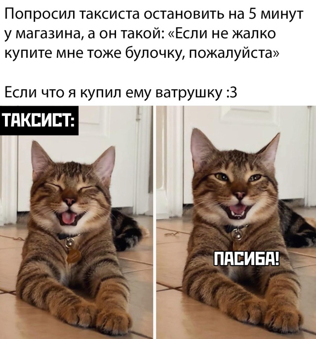 Прикольчики