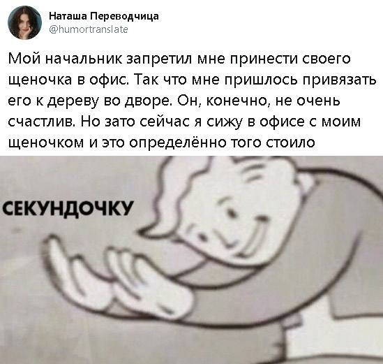 Прикольчики