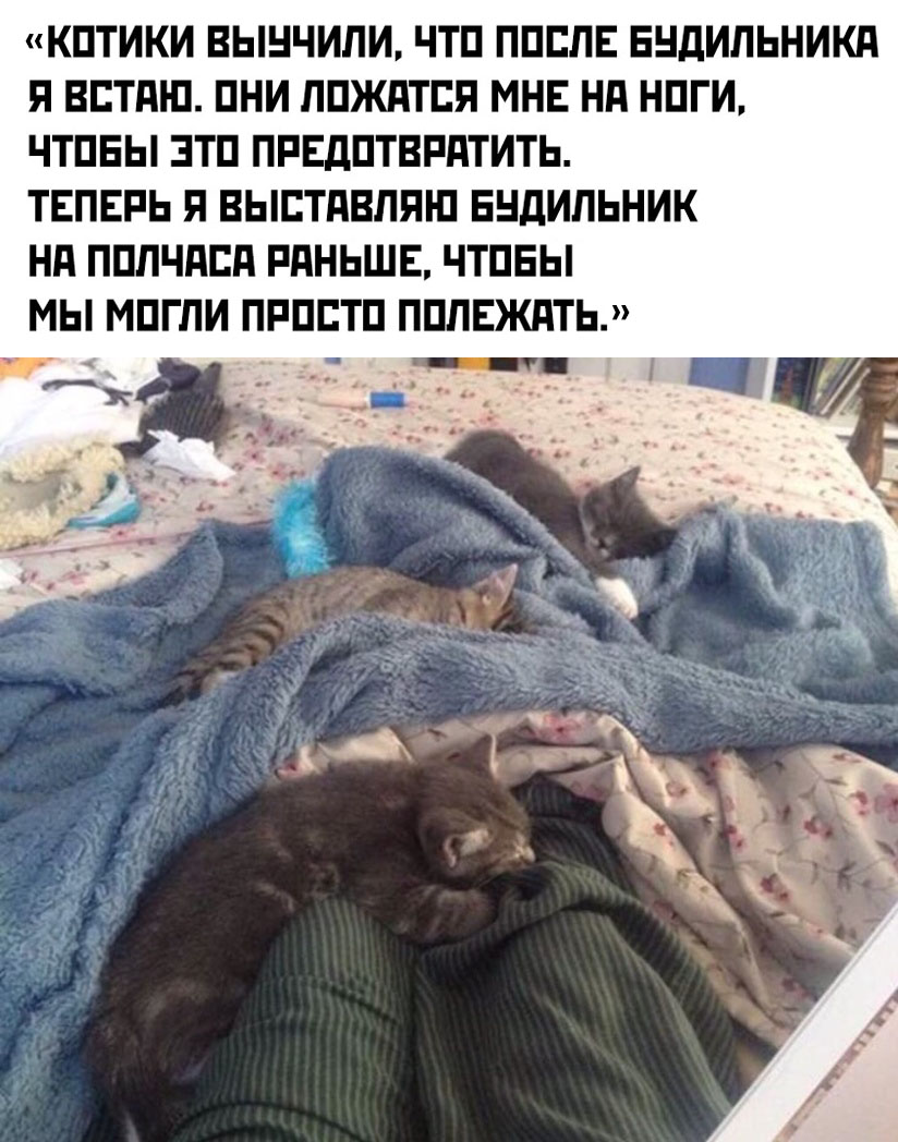 Прикольчики