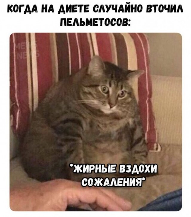 Прикольчики