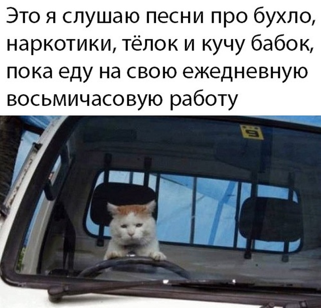 Прикольчики