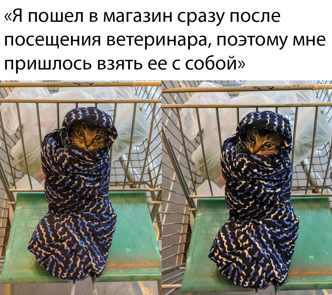 Прикольчики