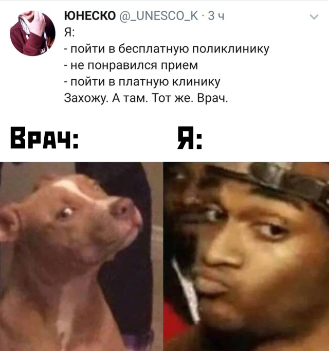 Прикольчики