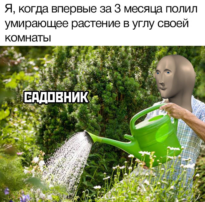 Прикольчики