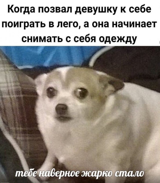 Прикольчики