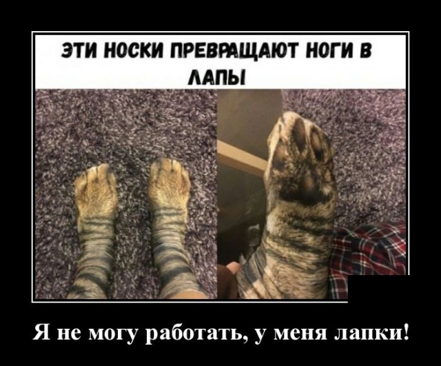 Демотиваторы