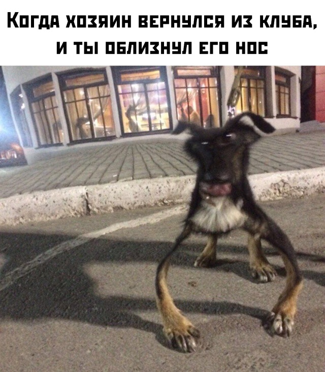 Прикольчики