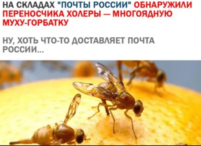 Юмор на любителя