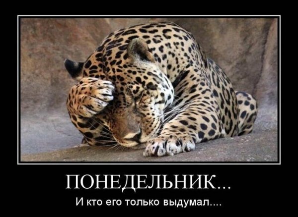 Понедельник - день тяжелый