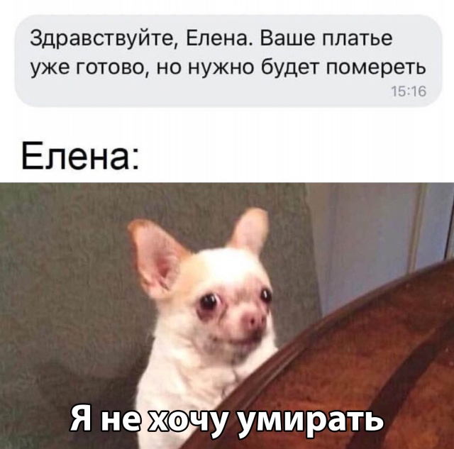 Прикольчики