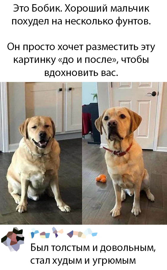 Прикольчики