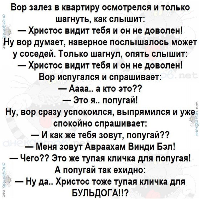 Лучшие анекдоты