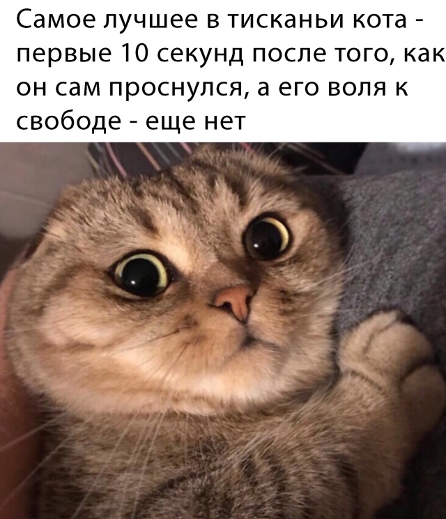 Прикольчики