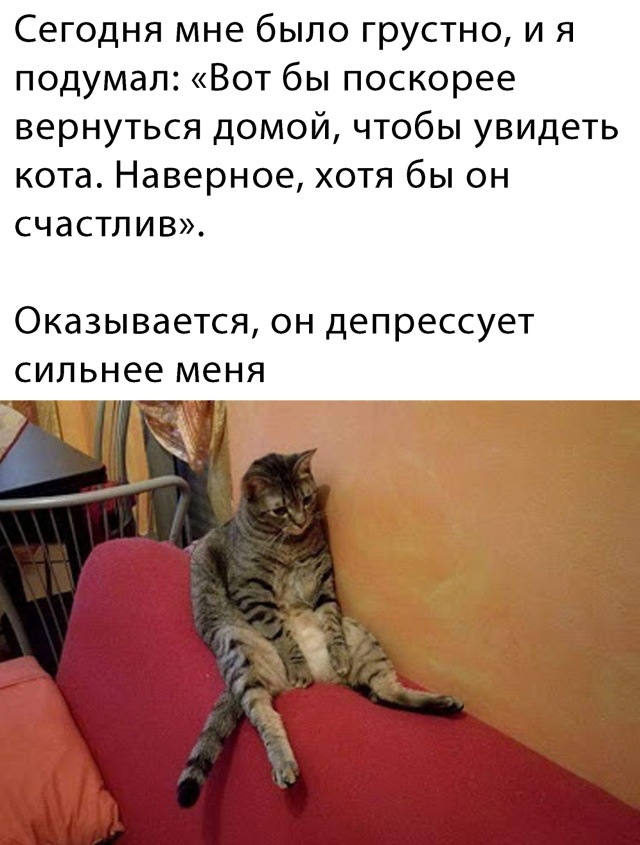 Прикольчики