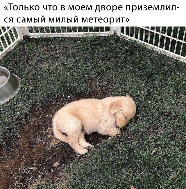 Прикольчики