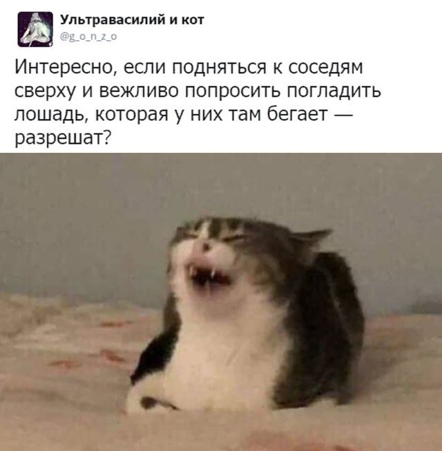 Прикольчики