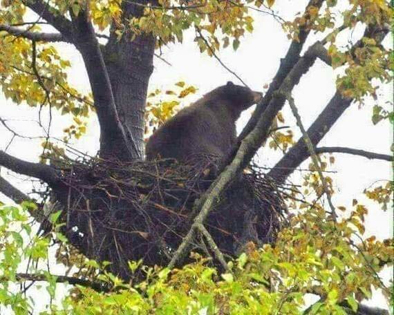 Фотографии, в которых главное - ракурс