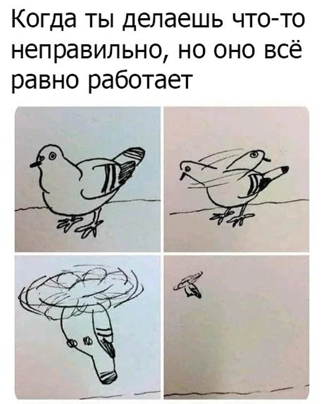 Вечерние приколы