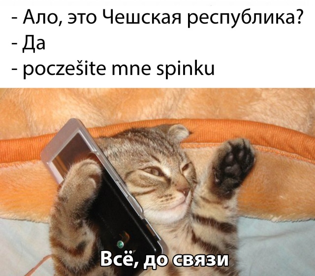 Прикольчики