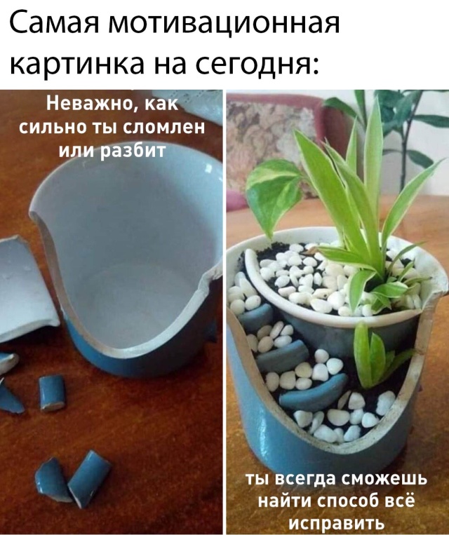 Прикольчики